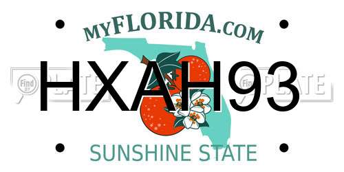 HXAH93 Florida License Plate