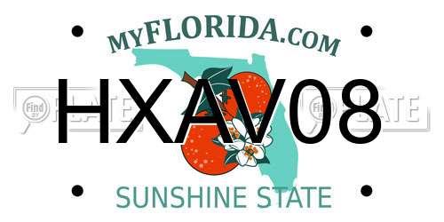 HXAV08 Florida License Plate
