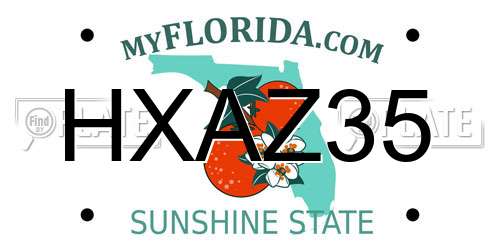 HXAZ35 Florida License Plate