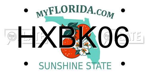 HXBK06 Florida License Plate