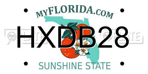 HXDB28 Florida License Plate
