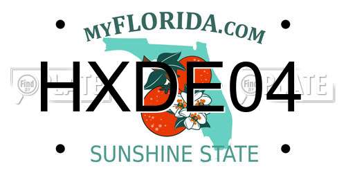HXDE04 Florida License Plate