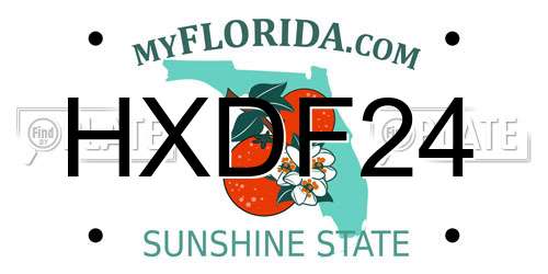 HXDF24 Florida License Plate