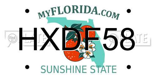 HXDF58 Florida License Plate