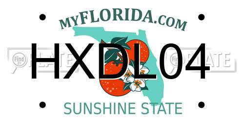 HXDL04 Florida License Plate