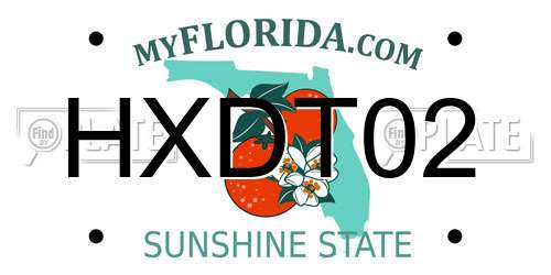 HXDT02 Florida License Plate