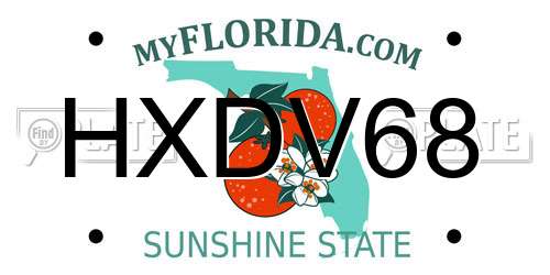 HXDV68 Florida License Plate