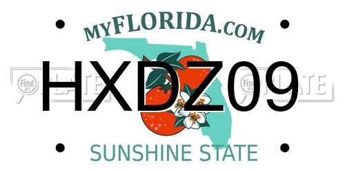 HXDZ09 Florida License Plate