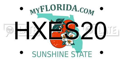 HXES20 Florida License Plate