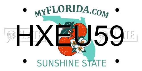 HXEU59 Florida License Plate
