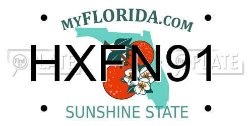HXFN91 Florida License Plate