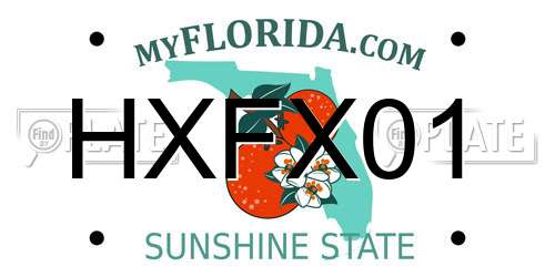 HXFX01 Florida License Plate
