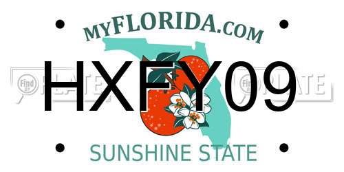HXFY09 Florida License Plate