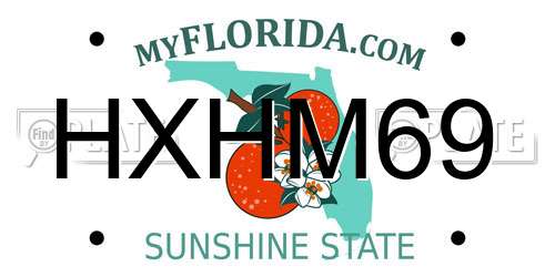 HXHM69 Florida License Plate
