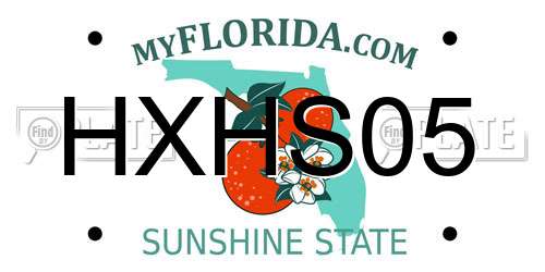 HXHS05 Florida License Plate