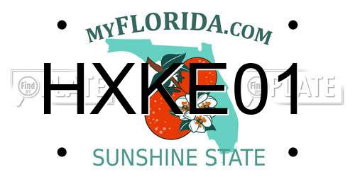 HXKE01 Florida License Plate