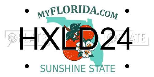 HXLD24 Florida License Plate