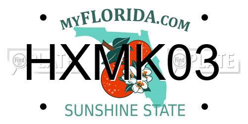 HXMK03 Florida License Plate