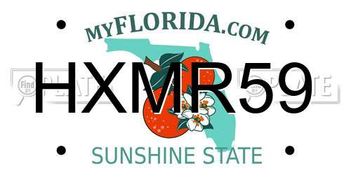 HXMR59 Florida License Plate