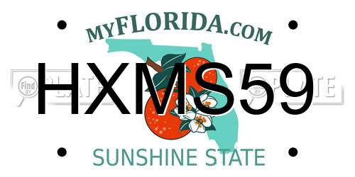 HXMS59 Florida License Plate
