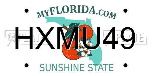 HXMU49 Florida License Plate