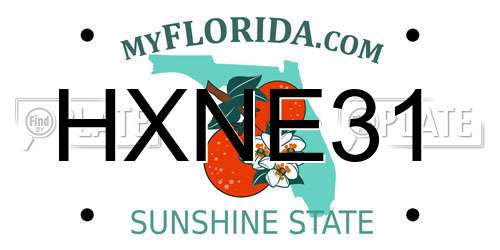 HXNE31 Florida License Plate
