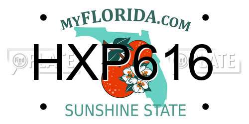 HXP616 Florida License Plate