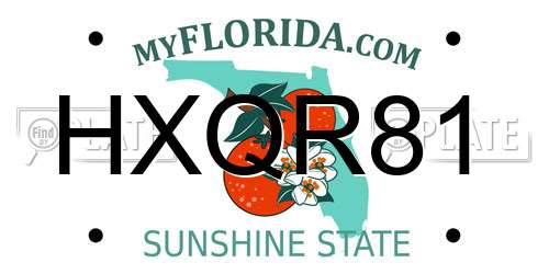 HXQR81 Florida License Plate