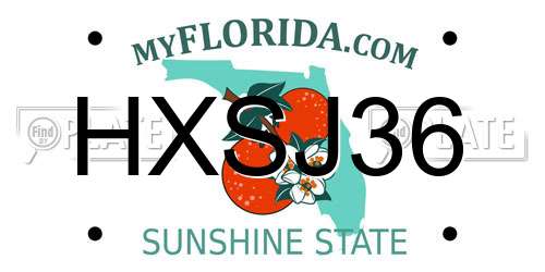 HXSJ36 Florida License Plate