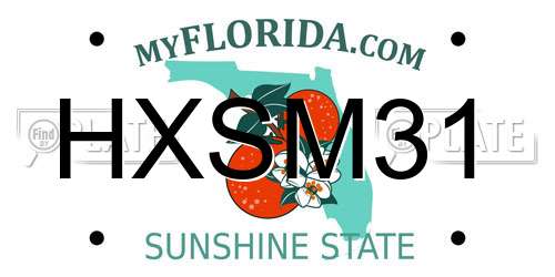 HXSM31 Florida License Plate