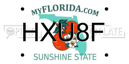 HXU8F Florida License Plate