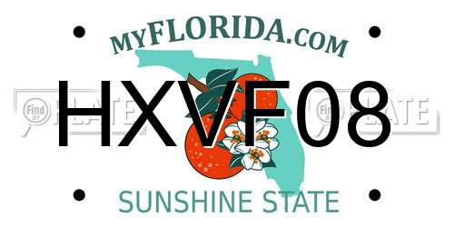 HXVF08 Florida License Plate