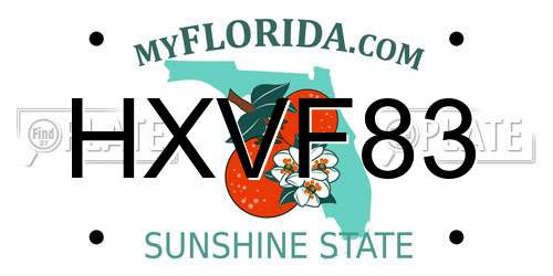 HXVF83 Florida License Plate