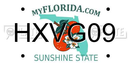 HXVG09 Florida License Plate