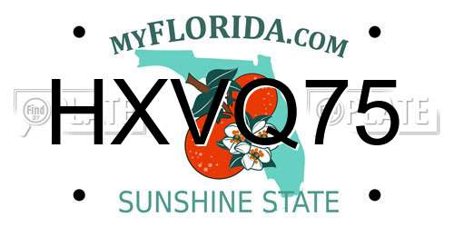 HXVQ75 Florida License Plate