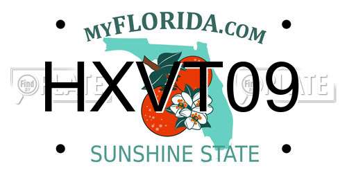 HXVT09 Florida License Plate