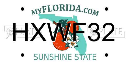 HXWF32 Florida License Plate