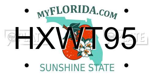 HXWT95 Florida License Plate