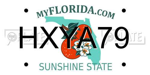 HXYA79 Florida License Plate