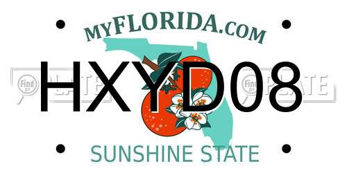 HXYD08 Florida License Plate
