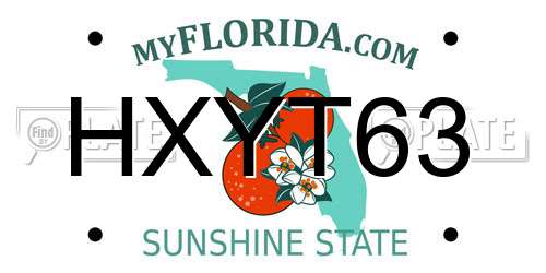 HXYT63 Florida License Plate