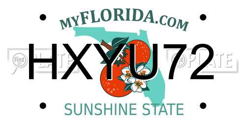 HXYU72 Florida License Plate