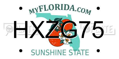 HXZG75 Florida License Plate