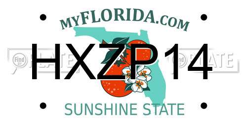 HXZP14 Florida License Plate