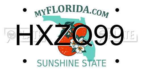HXZQ99 Florida License Plate