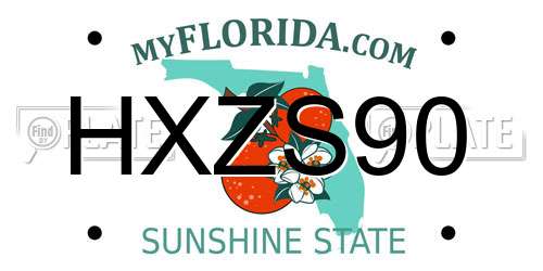 HXZS90 Florida License Plate
