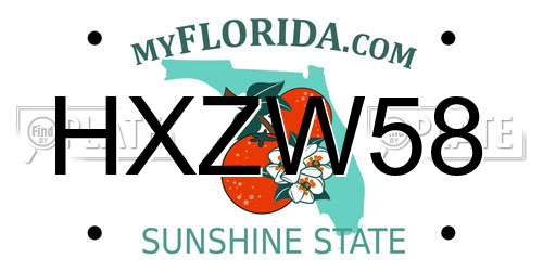 HXZW58 Florida License Plate