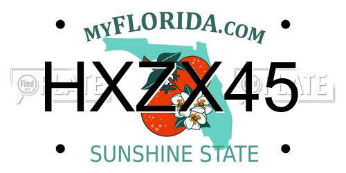 HXZX45 Florida License Plate