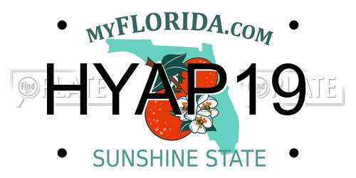 HYAP19 Florida License Plate