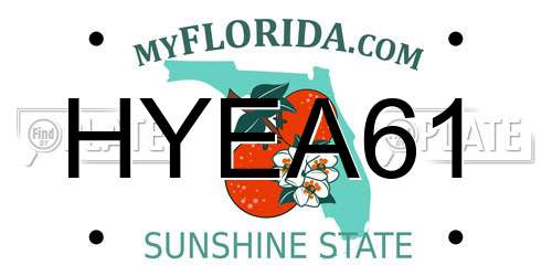 HYEA61 Florida License Plate